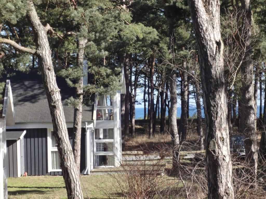 Ostsee Strandhaus Seerobbe room 3