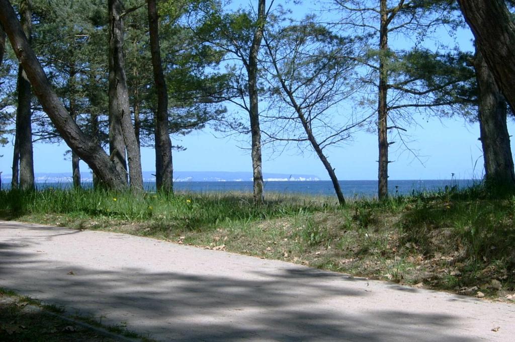Ostsee Strandhaus Seerobbe room 5